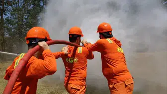 Balıkesir Sındırgı'da yangın çıktı : 6 uçak ve 6 helikopterle müdahale ediliyor