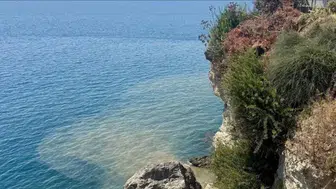 Antalya'da denizin rengi değişti, kötü koku yayıldı ! Savcılık resen soruşturma başlattı