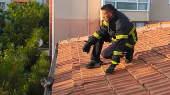 Erzincan’da yürekleri ısıtan çalışma : Çatıda mahsur kalan yavru kedi kurtarıldı