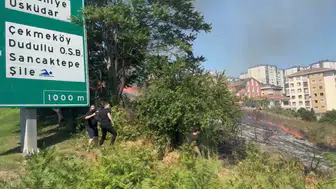 Ümraniye TEM Otoyolu'nda otluk alanda yangın