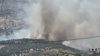 Adıyaman'da orman yangını