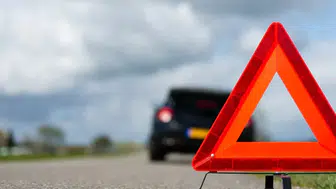 Almanya'da geyiğe çarpan sürücü Tularemi hastalığına yakalandı