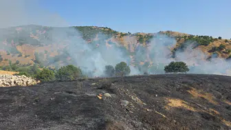Bingöl'de kırsal alanda yangın