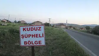 Ardahan'da alarm ! Büyükbaş hayvanda kuduz tespit edildi, bölge karantinaya alındı