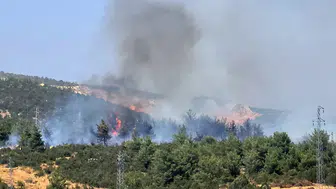 Bilecik'te orman yangını çıktı : Havadan ve karadan müdahale ediliyor