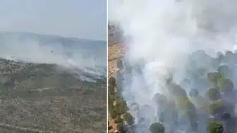 Balıkesir Altıeylül'de orman yangını