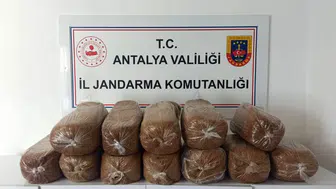 Antalya’da kaçakçılık operasyonu : 785 kilogram kıyılmış tütün ele geçirildi