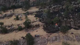 Hakkari'de ormanlık alanda yangın