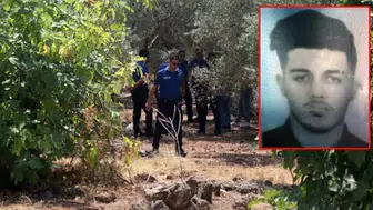 Zeytinlikte elleri arkadan bağlı ceset bulundu