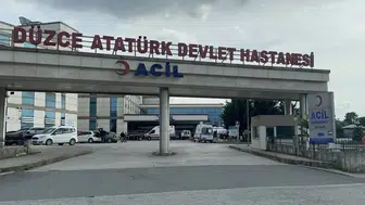 Düzce'de otomobil kamyona arkadan çarptı : 1 kişi yaralandı