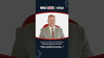 Enerji İş Sendikası Genel Başkanı Altunsoy'dan 'mayın eşeği' benzetmesi