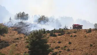 Manisa Şehzadeler'de orman yangını çıktı