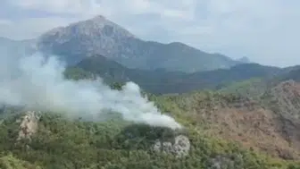 Antalya Kemer'de orman yangını