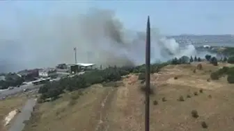 Büyükçekmece'de otluk ve ormanlık alanda yangın