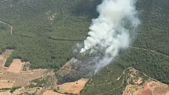 Muğla Kavaklıdere'de orman yangını