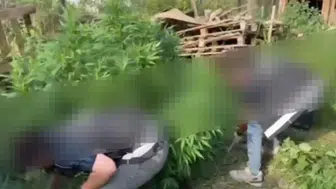 Sakarya'da narkotik operasyonu : 2 şüpheli gözaltında