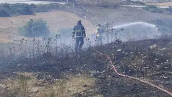 Hatay Yayladağı’nda arazi yangını