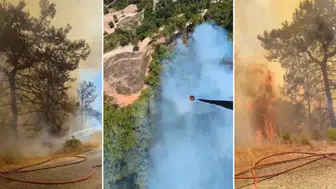 Antalya Alanya'da orman yangını