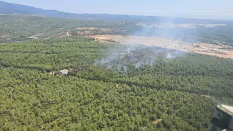 İzmir Buca'daki orman yangını kontrol altına alındı