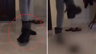 O görüntüler sosyal medyayı ayağa kaldırdı ! Kaplumbağaya işkence eden kadına tepki yağdı