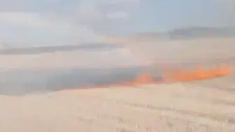 Yozgat'ta kontrolden çıkan anız ateşi bin dönümlük alanı kül etti
