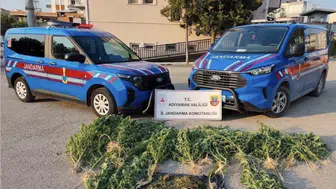 Adıyaman'da uyuşturucu operasyonu : 1,5 kilo esrar ele geçirildi