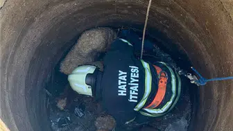 Hatay'da kuyuya düşen koyunları itfaiye kurtardı