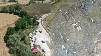 Samsun'da balık ölümlerine yol açan tesise 839 bin TL ceza