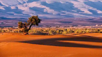 Batı Afrika için iklim krizi uyarısı!