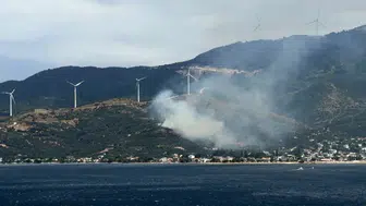 Balıkesir Marmara'da orman yangını çıkaran şüpheli gözaltına alındı