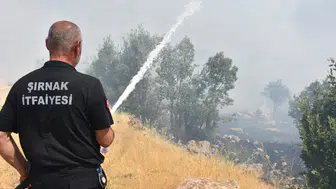 Şırnak'ta otluk alanda çıkan yangın ormana sıçradı