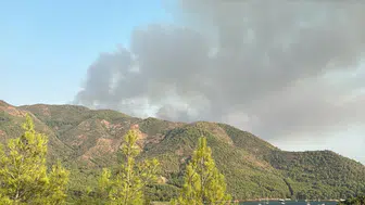 Muğla Marmaris'te orman yangını