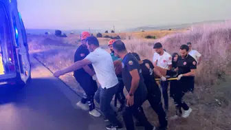 Bingöl'de trafik kazası : 2 yaralı