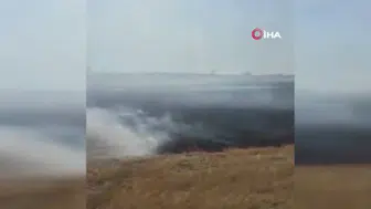 Yozgat Saraykent'te 150 dönüm arazi alev alev yandı