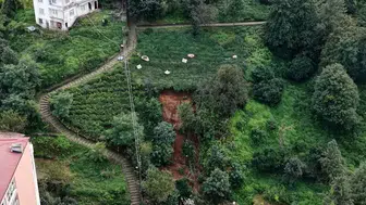 Burada sabırla hasat ediyorlar