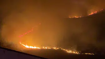 Aydın'da otluk alanda korkutan yangın
