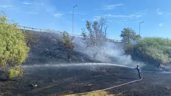 Aydın'da okul yanında yangın : Öğretmenler ve öğrenciler müdahale etti