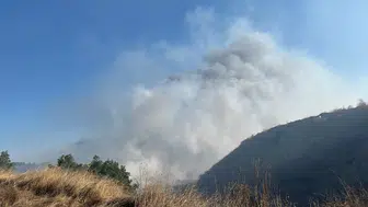 Bilecik’te çöplükte çıkan yangın ormana sıçradı