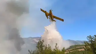 Adana'daki orman yangını 3. gününde
