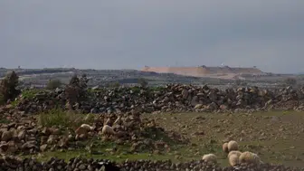 Bashan Öncüleri üyesi 14 İsrailli Suriye'ye girdi