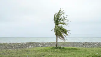 Meteoroloji'den kritik uyarı ! O bölgelerde rüzgar hızını artırıyor