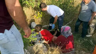 Adıyaman’da ceviz toplarken ağaçtan düştü : Yaralandı