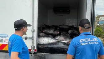 İzmir'de kaçakçılık : 3 ton orkinos ele geçirildi