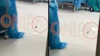 İstanbul’daki şehir hastanesindeki ameliyathanede fare görüldü