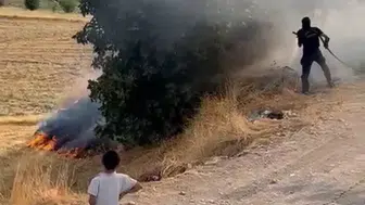 Adıyaman'da köyde çıkan bahçe yangını söndürüldü
