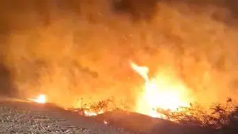 Denizli’de yangında alevlerin arasında kalan at son anda kurtarıldı