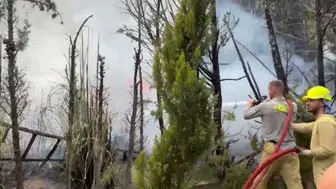 Bursa'da düğün salonlarının bulunduğu bölgede yangın çıktı