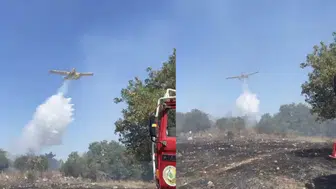Balıkesir'de orman yangını çıktı