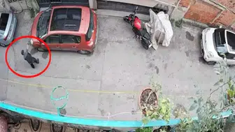 Bursa'da kucağındaki kediye şiddet uygulayan şahıs yakalandı