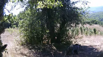 Ormanda gülümseten anlar